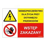 NIEBEZPIECZEŃSTWO DLA ŻYCIA PRZY... - WSTĘP ZAKAZNY!, ZNAK ŁĄCZONY, płyta PVC 2 mm, 210x148 mm