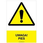 UWAGA! PIES - znak BHP, naklejka A4