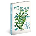 18-miesięczny kalendarz książkowy Petito - Herbarium 2025/2026