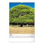 Kalendarz ścienny 2023 Drzewa