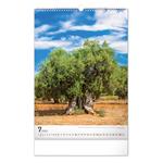 Kalendarz ścienny 2023 Drzewa