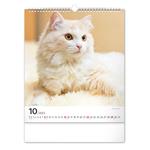 Kalendarz ścienny 2023 Koty