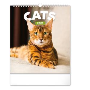 Kalendarz ścienny 2023 Koty