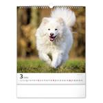 Kalendarz ścienny 2023 Psy