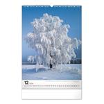 Nástěnný kalendář 2024 Stromy