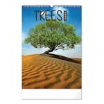 Kalendarz ścienny 2024 Drzewa