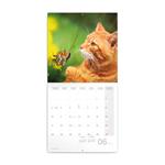 Nástěnný poznámkový kalendář 2024 Kočky