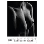 Kalendarz ścienny 2026 czeski Sensual