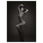 Kalendarz ścienny 2026 Imagine