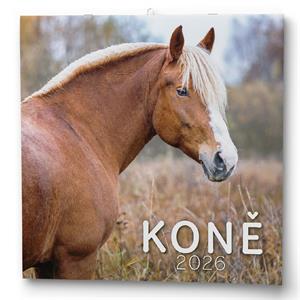 Kalendarz ścienny 2026 Konie