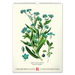 Kalendarz ścienny 2026 Vintage Plakaty - Herbarium