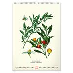 Kalendarz ścienny 2026 Vintage Plakaty - Herbarium