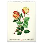 Kalendarz ścienny 2026 Vintage Plakaty - Herbarium