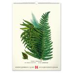Kalendarz ścienny 2026 Vintage Plakaty - Herbarium