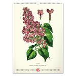 Kalendarz ścienny 2026 Vintage Plakaty - Herbarium
