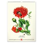 Kalendarz ścienny 2026 Vintage Plakaty - Herbarium