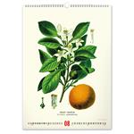 Kalendarz ścienny 2026 Vintage Plakaty - Herbarium