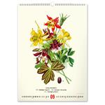 Kalendarz ścienny 2026 Vintage Plakaty - Herbarium