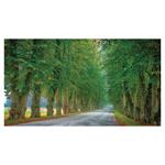 Ścienny kalendarz 2026 - Alejki