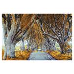 Ścienny kalendarz 2026 - Alejki