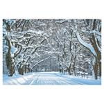 Ścienny kalendarz 2026 - Alejki