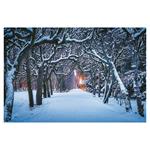 Ścienny kalendarz 2026 - Alejki