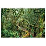 Ścienny kalendarz 2026 - Alejki