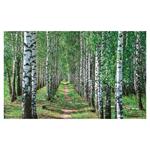 Ścienny kalendarz 2026 - Alejki