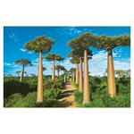 Ścienny kalendarz 2026 - Alejki