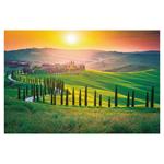 Ścienny kalendarz 2026 - Alejki