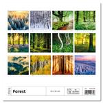 Ścienny Kalendarz 2026 - Forest/Wald/Les