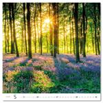 Ścienny Kalendarz 2026 - Forest/Wald/Les