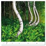 Ścienny Kalendarz 2026 - Forest/Wald/Les