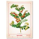 Ścienny Kalendarz 2026 - Herbarium