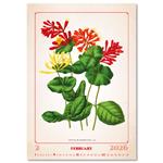 Ścienny Kalendarz 2026 - Herbarium