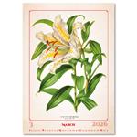 Ścienny Kalendarz 2026 - Herbarium
