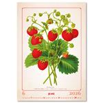 Ścienny Kalendarz 2026 - Herbarium