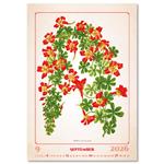 Ścienny Kalendarz 2026 - Herbarium