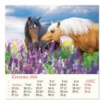 Ścienny kalendarz 2026 - Konie