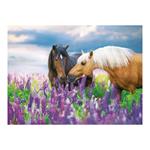 Ścienny kalendarz 2026 - Konie