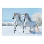 Ścienny kalendarz 2026 - Konie