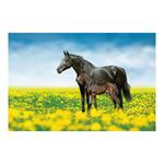 Ścienny kalendarz 2026 - Konie