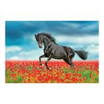 Ścienny kalendarz 2026 - Konie