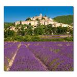 Ścienny Kalendarz 2026 krawat - Provence