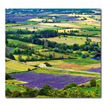 Ścienny Kalendarz 2026 krawat - Provence