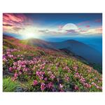 Ścienny kalendarz 2026 - Księżycowy