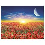 Ścienny kalendarz 2026 - Księżycowy