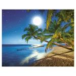 Ścienny kalendarz 2026 - Księżycowy