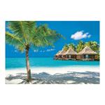 Ścienny kalendarz 2026 - Letnie marzenia