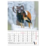 Ścienny kalendarz 2026 - Myslivecky
